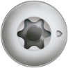 Afbeeldingen van Spax 8.0x50 T40 paalschroef - lenskop voldraad - RVS A2 Op=Op