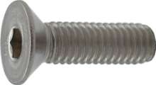 Afbeeldingen van Inbusmet.Schr.Rvs   M10X70mm   Din7991 A