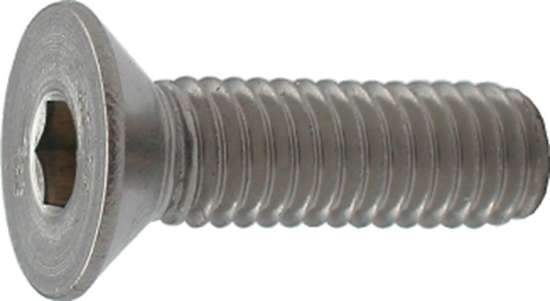 Afbeeldingen van Inbusmet.Schr.Rvs   M10X70mm   Din7991 A