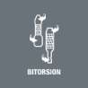 Afbeeldingen van Wera bit BiTorsion Diamond 855/1 BDC PZ 25mm Pozidriv
