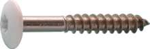 Afbeeldingen van HPL schroef 4,8x32 RVS R9001 creme