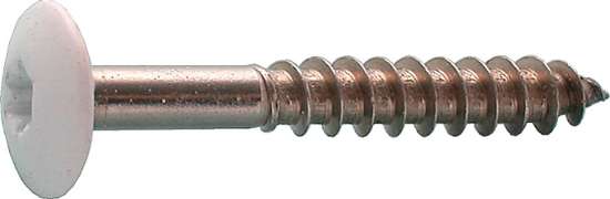 Afbeeldingen van HPL schroef 4,8x32 RVS R9010 wit