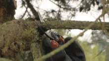 Afbeeldingen van Bahco PXR  professional ergonomisch