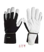 Afbeeldingen van ProtecWork, Geïsoleerde Handschoenen