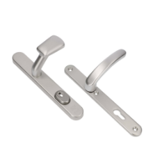 Afbeeldingen van Ami Veiligheids beslag 257/37/2 kerntrekbeveiliging knop 166 RW - PC92 56mm - F1 