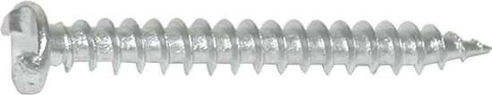 Afbeeldingen van Anti-Inbr.Schr.Rvs  4.2X19mm   Zelftappe