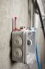 Afbeeldingen van Spit Universeel plug met schroef Colortech - 5x30mm - 100 stuks in doos 