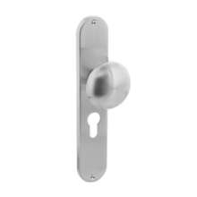 Afbeeldingen van INTERSTEEL Knop Paddenstoel op schild profielcilindergat 55 mm rvs geborsteld 2695