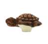 Afbeeldingen van Siro Meubelknop schildpad kunststof - L 55mm/H 31mm/B 41mm 
