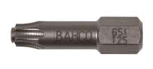 Afbeeldingen van RVS bits Torx