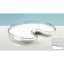 Afbeeldingen van Hettich Arena CLASSIC, reling poedercoating zilver, 800 x 800
