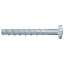 Afbeeldingen van Fischer betonschroef FBS II P 6x80mm 100st.