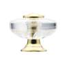 Afbeeldingen van Siro Meubelknop kunststof - L 38mm/H 31mm/B 38mm transparant/goud 