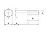 Afbeeldingen van Stalen bouten 8.8   m10x220   din 931 verz