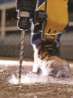 Afbeeldingen van DeWALT Betonboor SDS plus DT9520