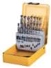 Afbeeldingen van DeWALT Spiraalborenset metaal DT5923