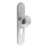 Afbeeldingen van INTERSTEEL Knop Paddenstoel op schild met nok profielcilindergat 55 mm rvs geborsteld 2697