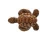 Afbeeldingen van Siro Meubelknop schildpad kunststof - L 55mm/H 31mm/B 41mm 