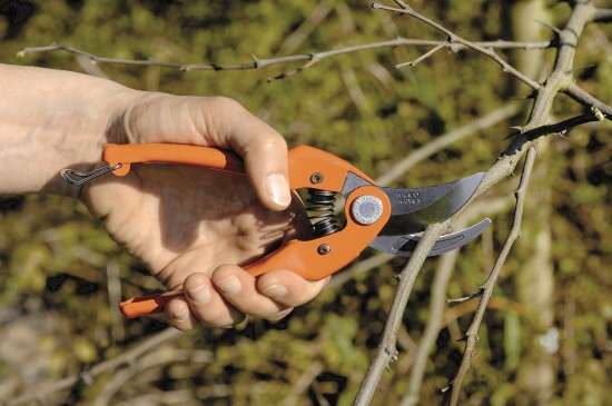 Afbeeldingen van Bahco P126-F traditionele snoeischaar