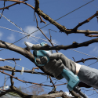 Afbeeldingen van Makita snoeischaar DUP180Z - 18V - zonder accu's en lader in doos