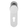 Afbeeldingen van INTERSTEEL Knopschild brandvertragend 9mm stift RVS 0778