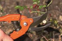 Afbeeldingen van Bahco P110-F traditionele snoeischaar