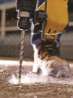 Afbeeldingen van DeWALT Betonboor SDS plus DT9504