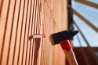 Afbeeldingen van Spit Universeel plug met schroef Colortech - 5x30mm - 100 stuks in doos 
