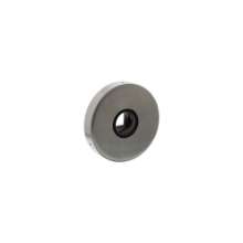 Afbeeldingen van INTERSTEEL Rozet massief ø53x10mm verdekt met nokken en veer, geheel rvs 3405