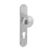 Afbeeldingen van INTERSTEEL Knop Paddenstoel op schild profielcilindergat 72 mm rvs geborsteld 2695