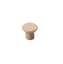 Afbeeldingen van INTERSTEEL Knop taps essenhout 8578