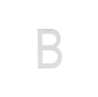 Afbeeldingen van INTERSTEEL Huisletter B 100 mm rvs geborsteld 4026