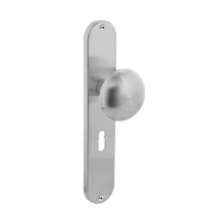 Afbeeldingen van INTERSTEEL Knop Paddenstoel op schild sleutelgat 56 mm rvs geborsteld 2695