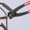 Afbeeldingen van Knipex moniertang 99 01 280mm rabitz en