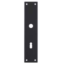 Afbeeldingen van Schild renovatie rechthoekig 250x55x2mm RVS mat zwart