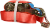 Afbeeldingen van Kelfort Spanband ratel+haken